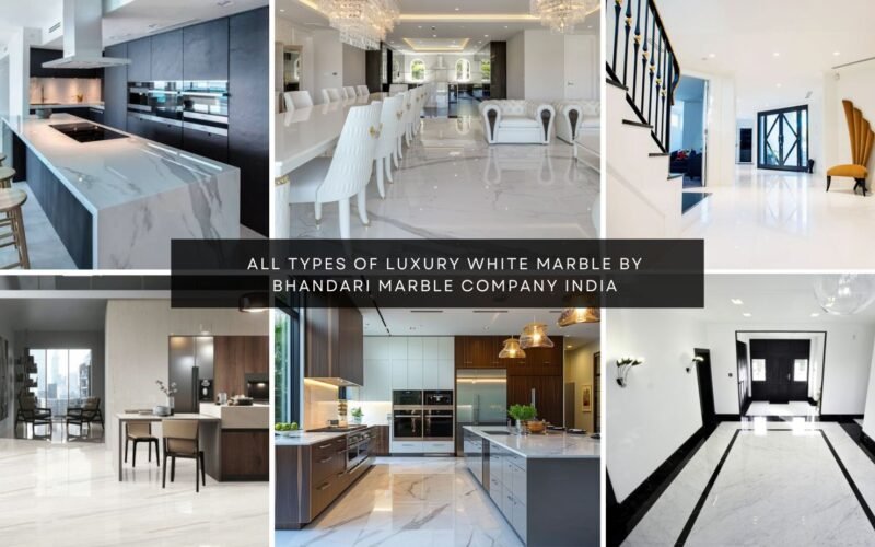 All Types of Luxury White Marble in India