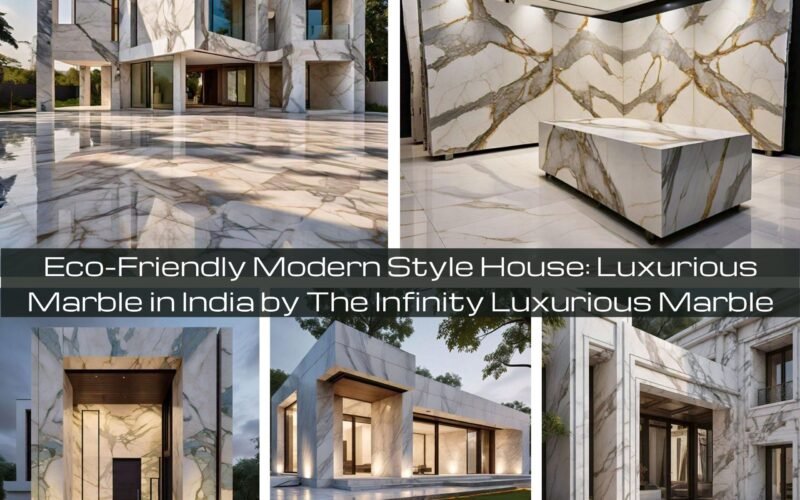 Eco-Friendly Modern Style House: Luxurious Marble in India by The Infinity Luxurious Marble