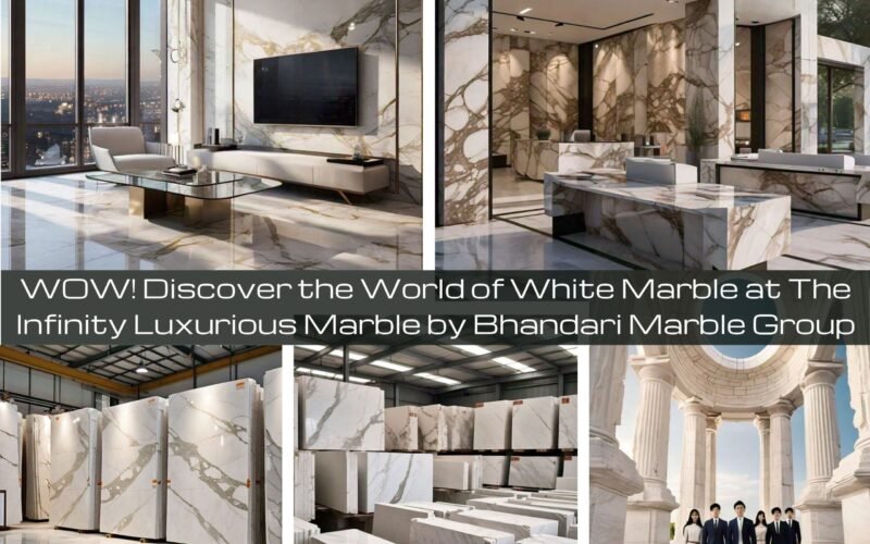 WOW! Discover the World of White Marble at The Infinity Luxurious Marble by Bhandari Marble Group